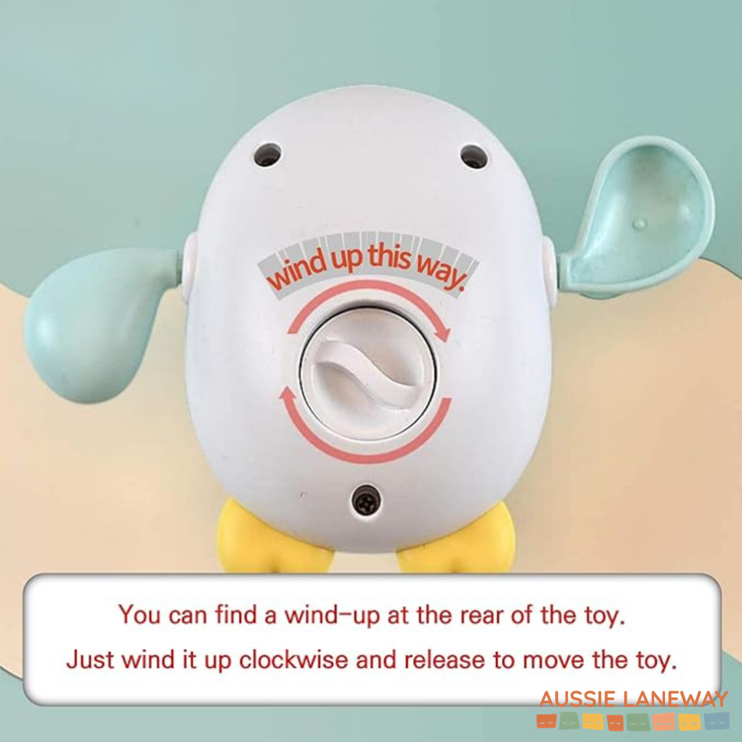 Wind-Up Bath Toys - Zoom, Splash, Zoom!