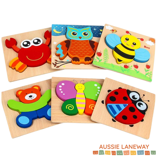 6 Pack Wooden Puzzle Set