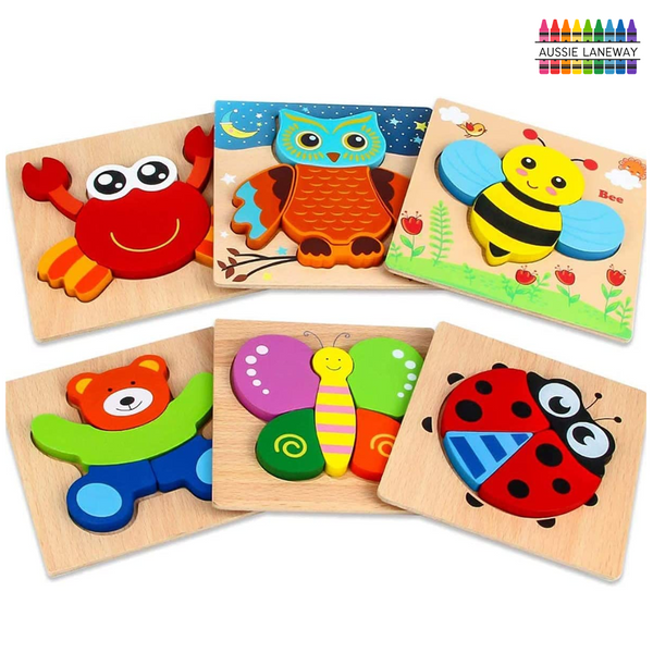 6 Pack Wooden Puzzle Set