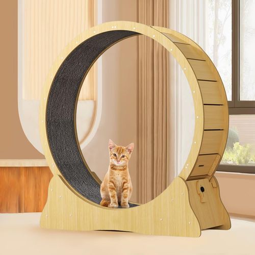 Cat Exercise Wheel