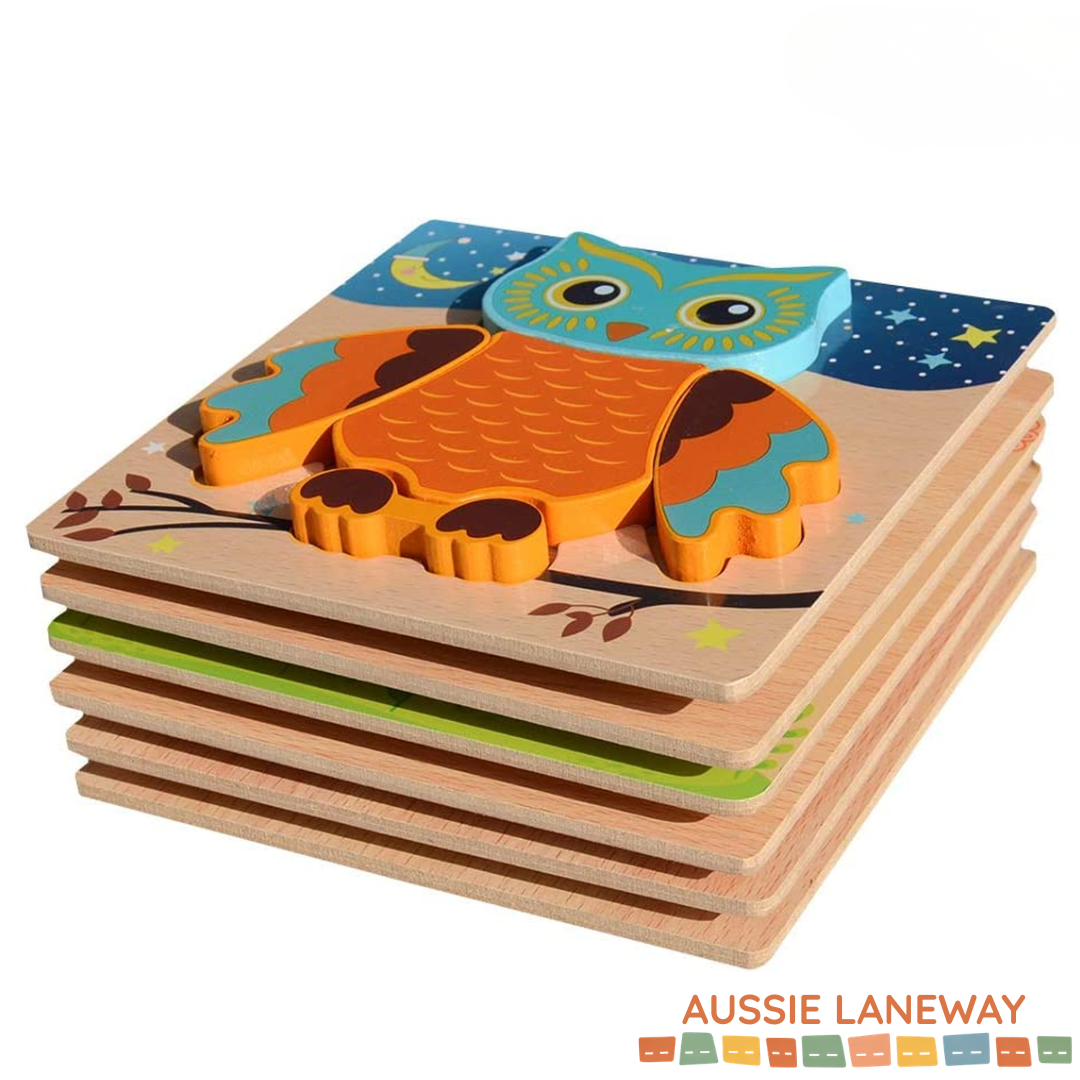 6 Pack Wooden Puzzle Set